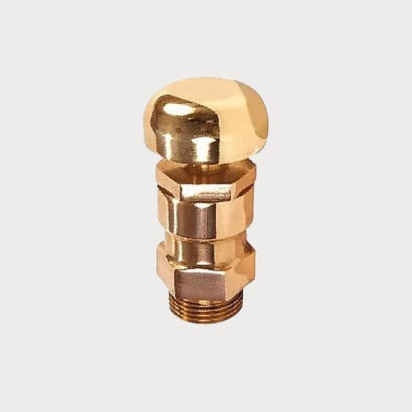 25 MM Air Release Valve