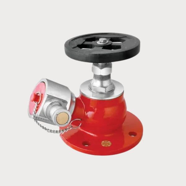 63 MM SS Fire Hydrant Valve