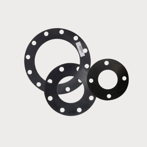 Flange Gasket