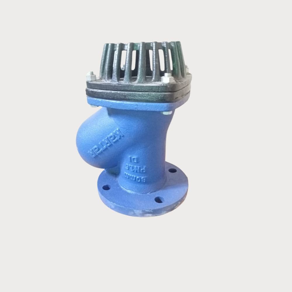 Foot Valve